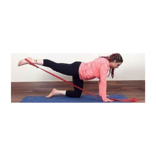 Read more about the article Resistance Band exercises for seniors