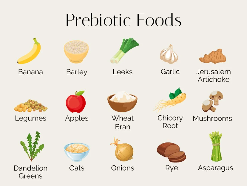 prebiotic foods list